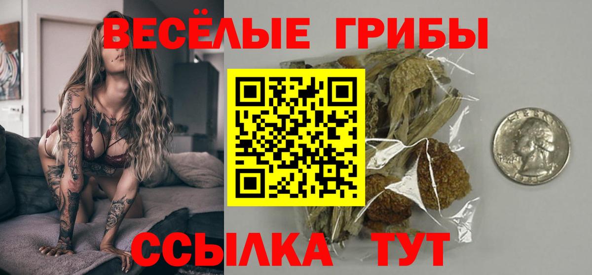 Галлюциногенные грибы мицелий Мелеуз